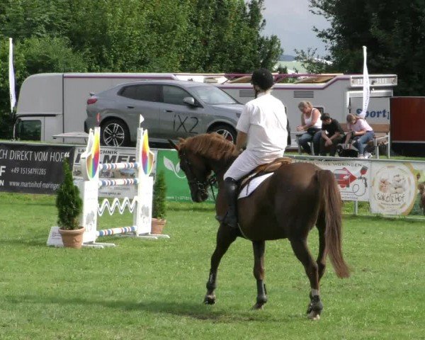 Reitturnier Moringen 2024