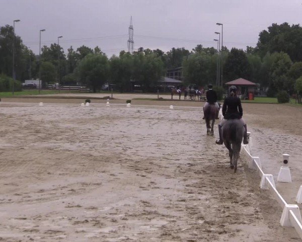 Reitturnier Münster-Roxel 2024