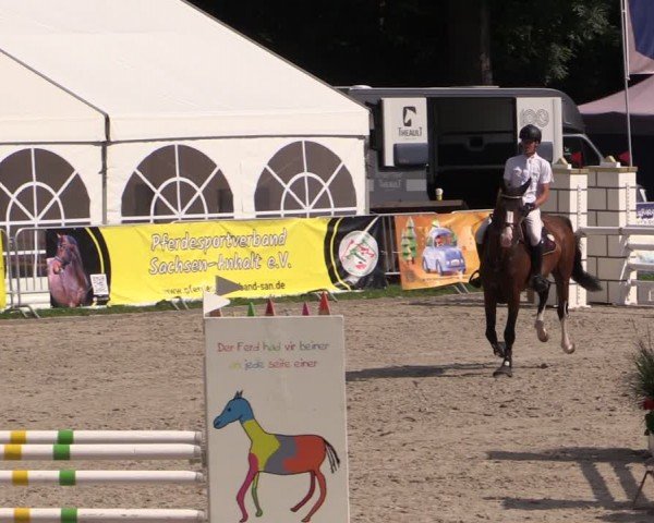 Reitturnier Prussendorf 2024
