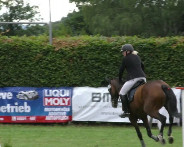 Reitturnier Moringen 2024