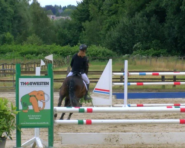 Reitturnier Hemer-Oese an der Edelburg 2024