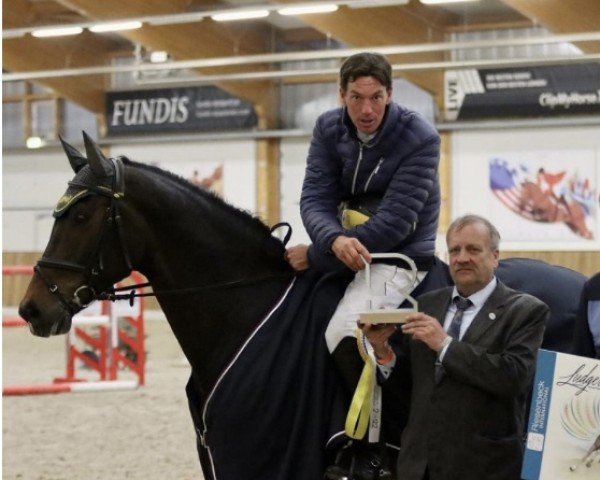 Springpferd Dakota (Zangersheide Reitpferd, 2011, von Ustinov)