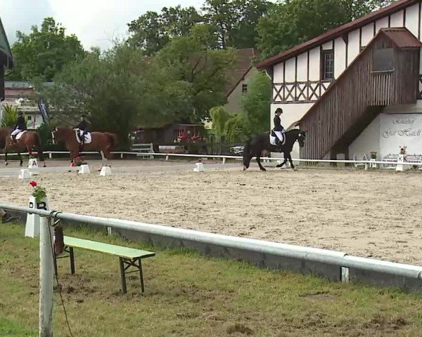 Reitturnier Hof-Haidt/Ofr. 2024
