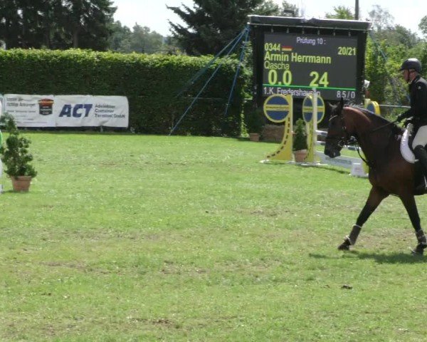 Reitturnier Moringen 2024