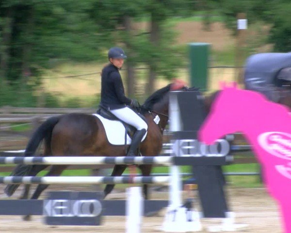 Reitturnier Hemer-Oese an der Edelburg 2024