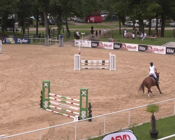 Reitturnier Stadl-Paura 2024