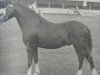 Deckhengst Kirby Cane Shuttlecock (Welsh Pony (Sek.B), 1954, von Bryntirion Rowan)