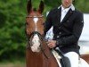 dressage horse Lonkens Ferryden (Oldenburg, 2017, from Fiandro)