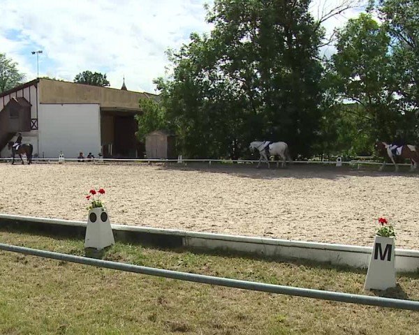 Reitturnier Hof-Haidt/Ofr. 2024