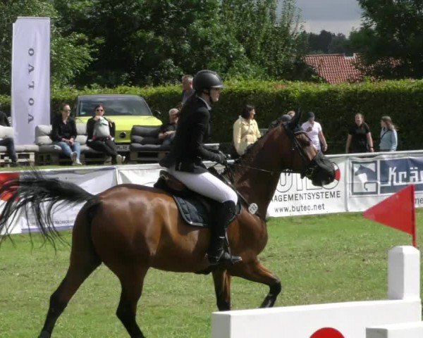 Reitturnier Moringen 2024