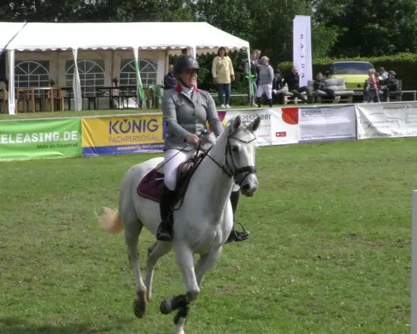 Reitturnier Moringen 2024