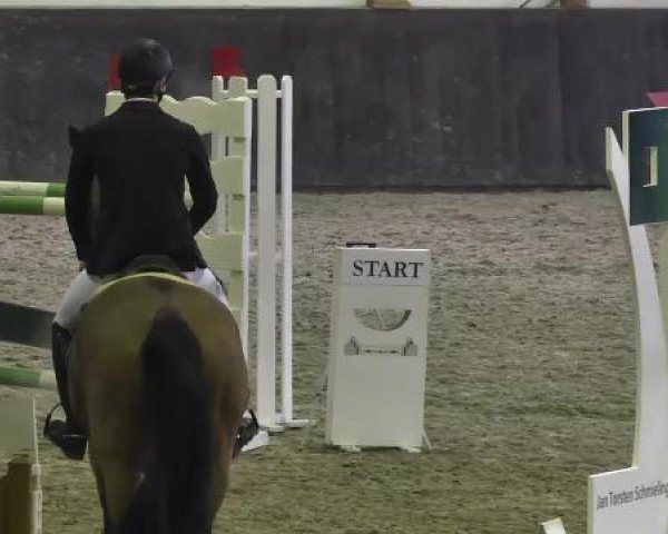 Late Entry Sauldorf-Boll 02.03.2013
