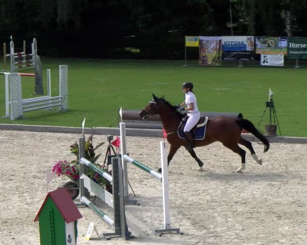 Reitturnier Dielsdorf 2024