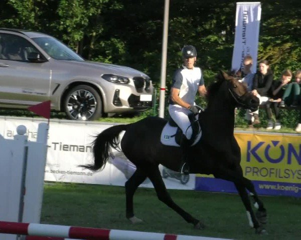 Reitturnier Moringen 2024