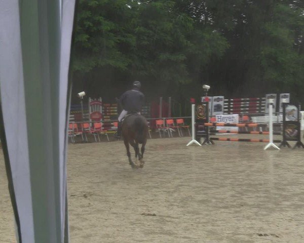 Reitturnier Grefrath - Reitanlage Heitzerend 2024