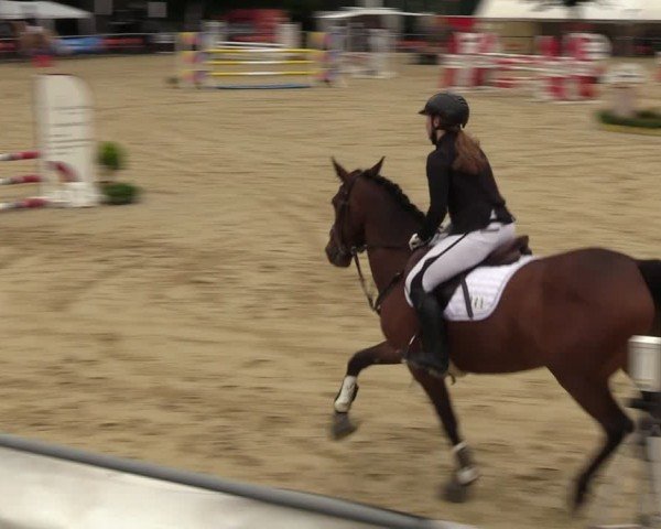 Reitturnier Grefrath - Reitanlage Heitzerend 2024