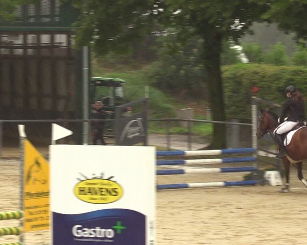Reitturnier Grefrath - Reitanlage Heitzerend 2024