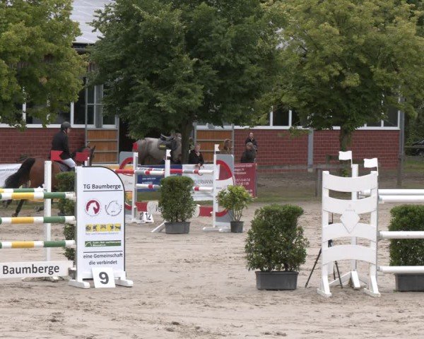 Reitturnier Münster-Roxel 2024