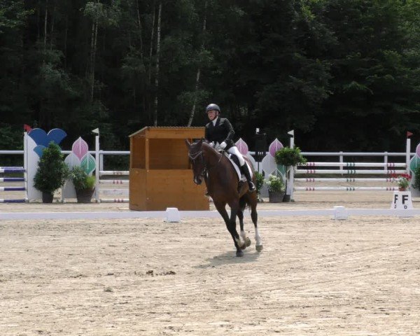 Reitturnier Hünfelden-Kirberg 2024