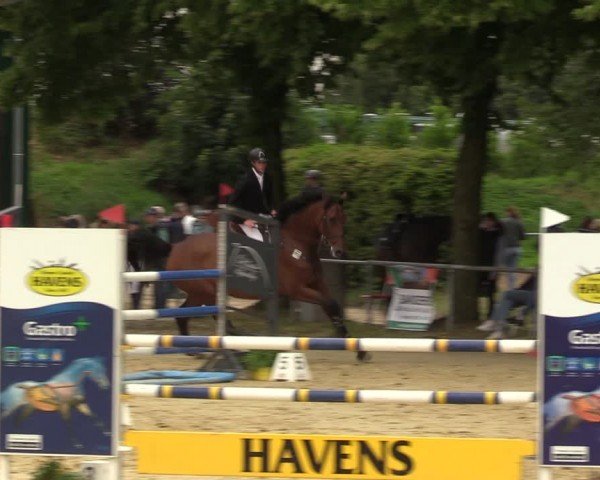 Reitturnier Grefrath - Reitanlage Heitzerend 2024