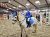 jumper Casper 469 (Welsh-Pony (Section B), 2013)