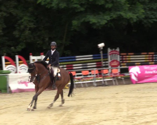 Reitturnier Grefrath - Reitanlage Heitzerend 2024