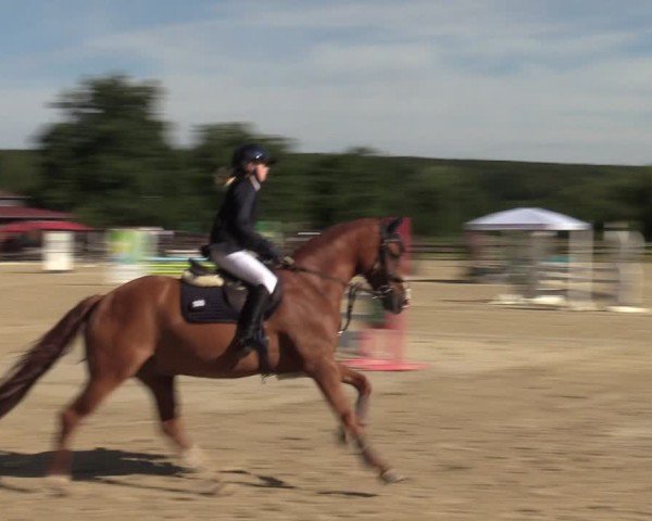 Reitturnier Hemer-Oese an der Edelburg 2024
