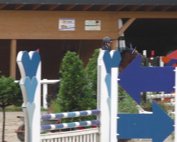 Reitturnier Hünfelden-Kirberg 2024