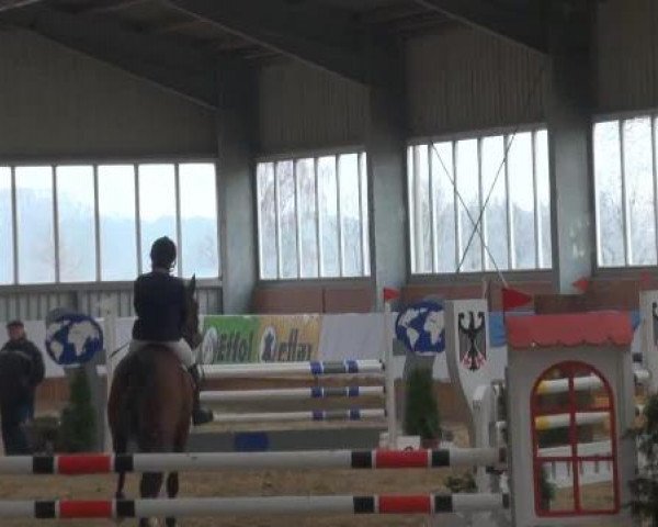 Grevener-Hallenspringturnier 2013