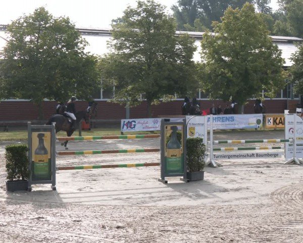 Reitturnier Münster-Roxel 2024