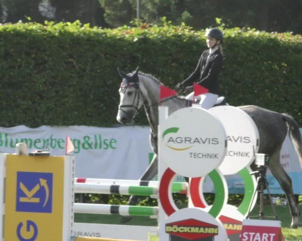 Reitturnier Moringen 2024