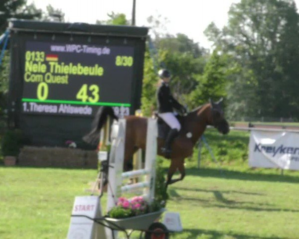 Reitturnier Moringen 2024