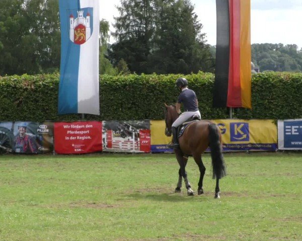 Reitturnier Moringen 2024