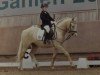 dressage horse Paul H (German Riding Pony, 2011, from Top Carlos Cassini)