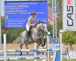 jumper Ominka Minka G (KWPN (Royal Dutch Sporthorse), 2019, from Indoctro)