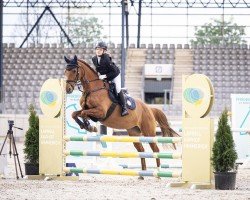 broodmare Charlin W (German Riding Pony, 2011, from Chantre B)