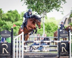 jumper D'Niro MS (German Riding Pony, 2017, from Dreidimensional AT NRW)