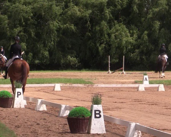 Reitturnier Prussendorf 2024