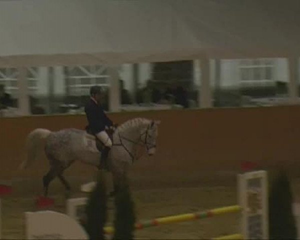 Rosendorf-Classics 2013