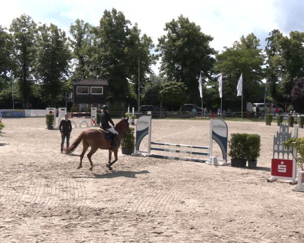 Reitturnier Münster-Roxel 2024