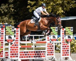 jumper Thriller vd Leuba (Oldenburg show jumper, 2018, from Thunder van de Zuuthoeve)