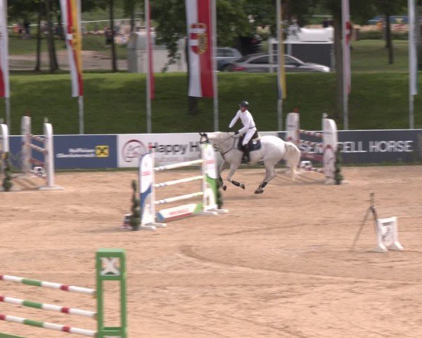 Reitturnier Stadl-Paura 2024