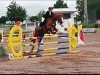 jumper Petit Ami Roux (Hanoverian, 2001, from Perpignon)