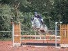 jumper Clarisa 3 (Czech Warmblood, 2018, from Cool Paradise)