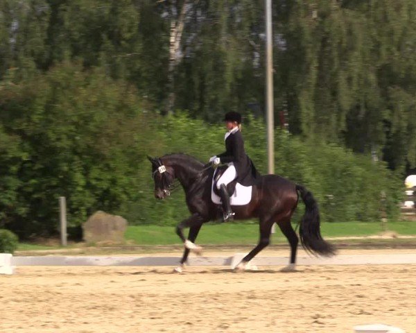 Reitturnier Münster-Roxel 2024