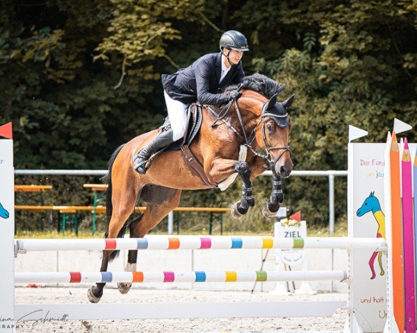 jumper Cosita 5 (Hanoverian, 2019, from Canoso)