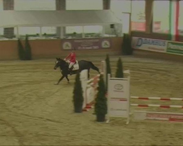 Rosendorf-Classics 2013