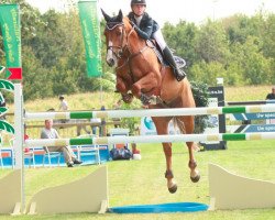 jumper Vitesse (KWPN (Royal Dutch Sporthorse), 2002, from Guidam)