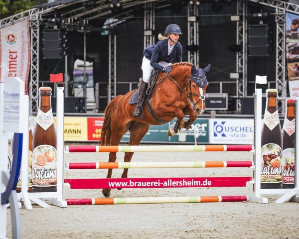 Springpferd Sya (Deutsches Sportpferd, 2020, von Siegfried)