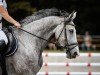 jumper Caily T (German Sport Horse, 2018, from Carleyle)